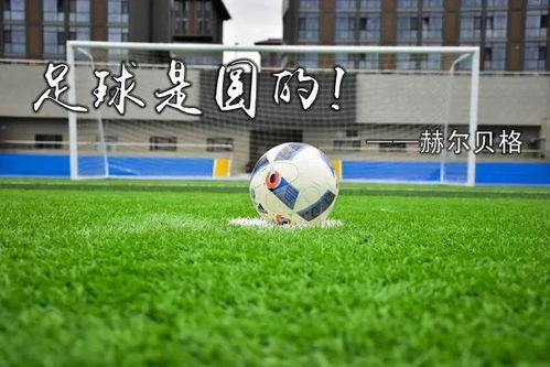 中超米特里策缺席4轮，浙江队3负1平1球不进